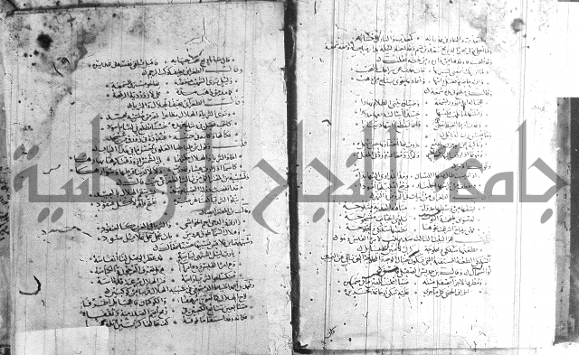 شرح لامية العجم 