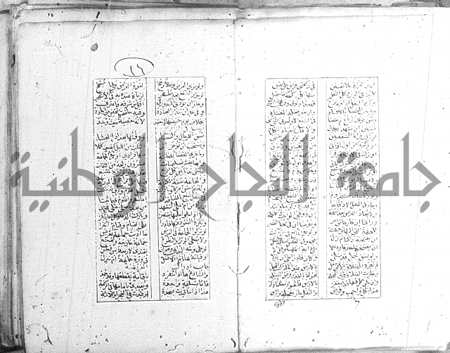 خلاصة التنوير 