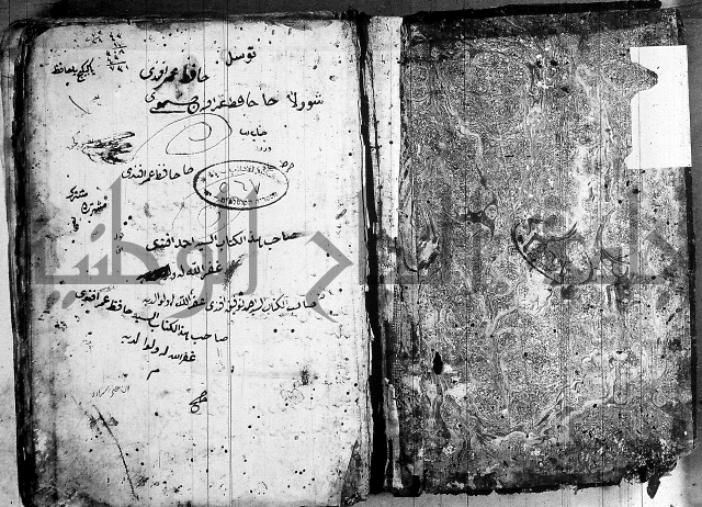 فوائد على الكافية 