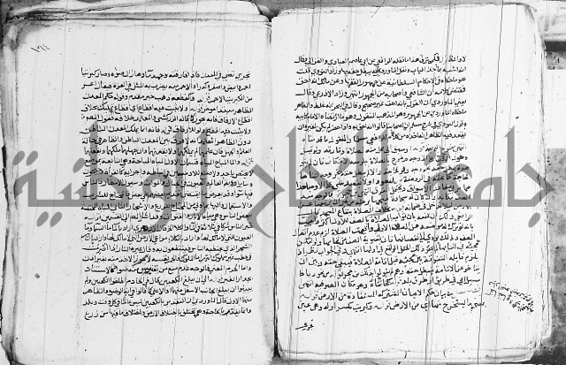 الزيادي على المنهج 