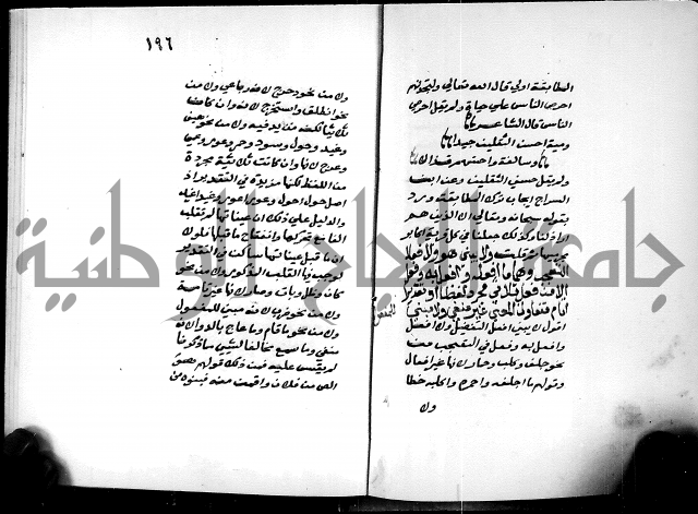 شرح شذور الذهب في معرفة كلام العرب 