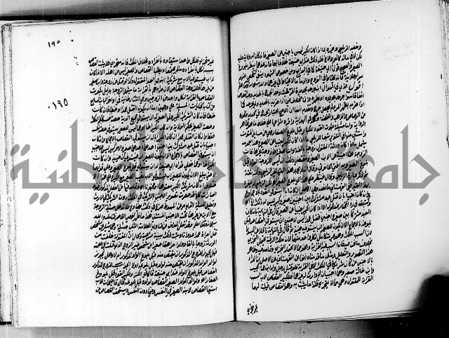 الجواهر الدورية في تنقيح الفتاوى الحامدية ج2 