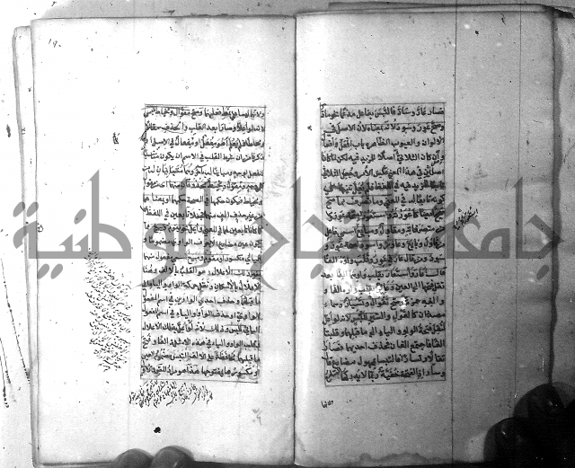 شرح الشافية 