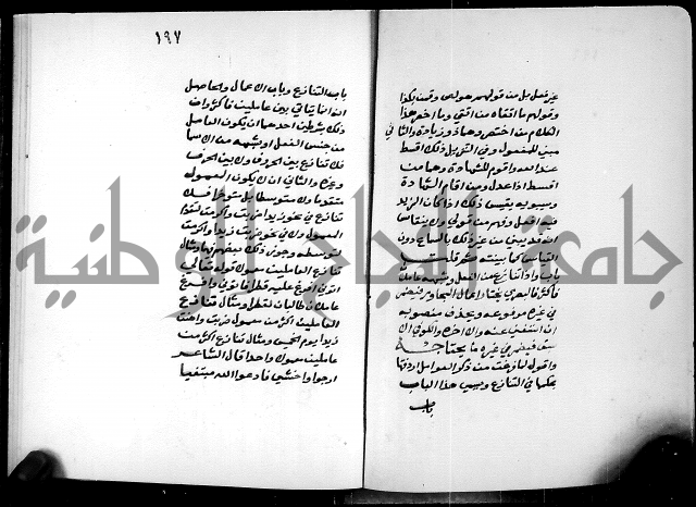 شرح شذور الذهب في معرفة كلام العرب 