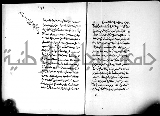 شرح شذور الذهب في معرفة كلام العرب 