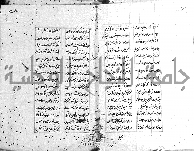 كتاب يوسف زليخا المؤلف 