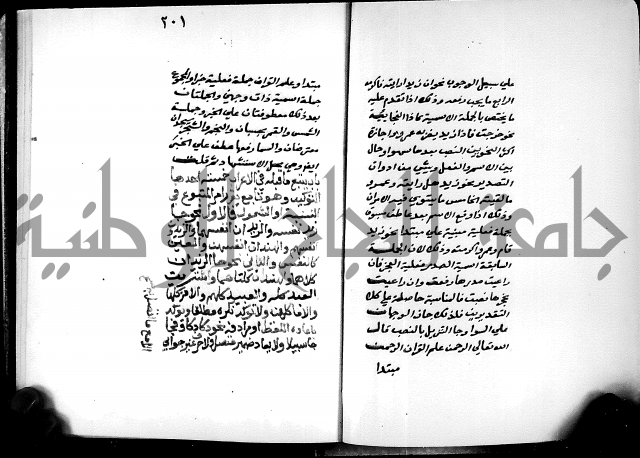 شرح شذور الذهب في معرفة كلام العرب 