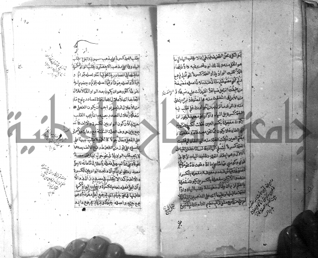 شرح الشافية 