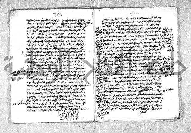 فتح الجليل  على شرح ابن عقيل 