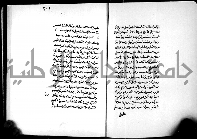 شرح شذور الذهب في معرفة كلام العرب 