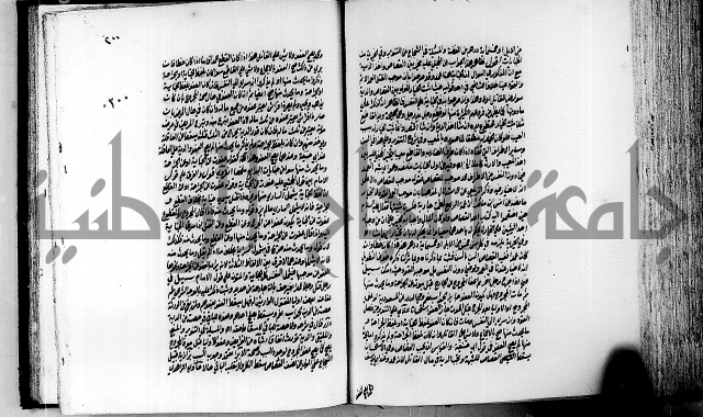 الجواهر الدورية في تنقيح الفتاوى الحامدية ج2 