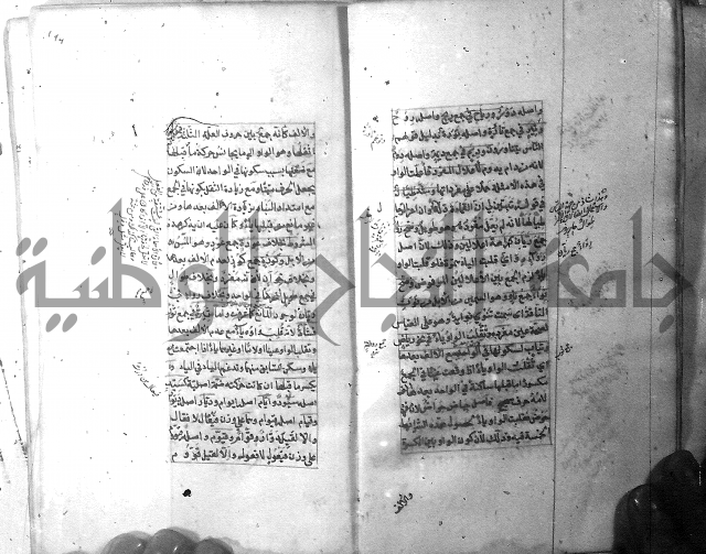 شرح الشافية 