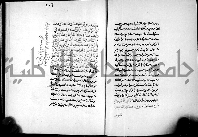 شرح شذور الذهب في معرفة كلام العرب 