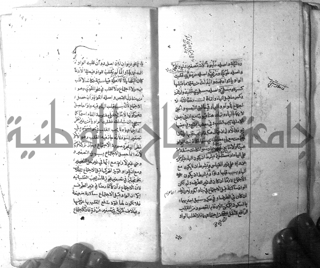 شرح الشافية 