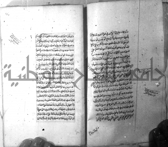 شرح الشافية 