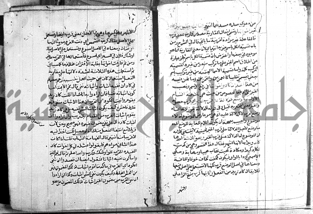 العقود الجوهرية 