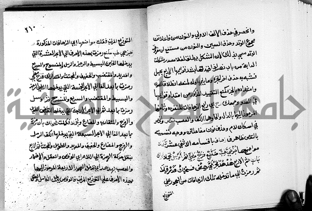 مختصر حاشية القهوتي 