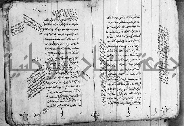 فوائد على الكافية 