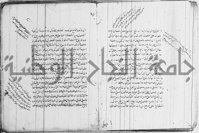 نحو - شرح الكافية