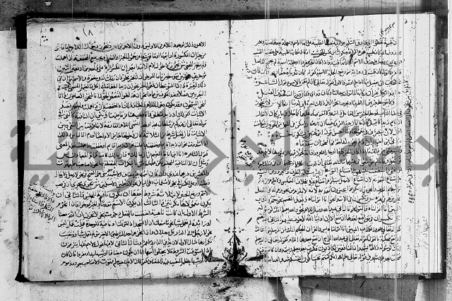 شرح كتاب قطر الندى وبل الصدى