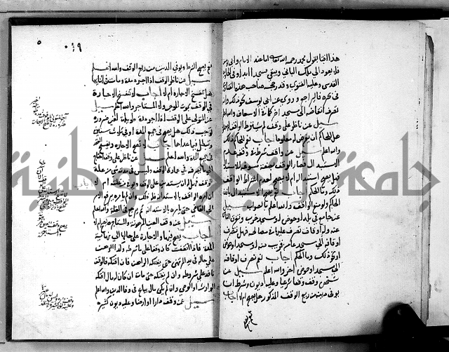 الفتاوى الامينية