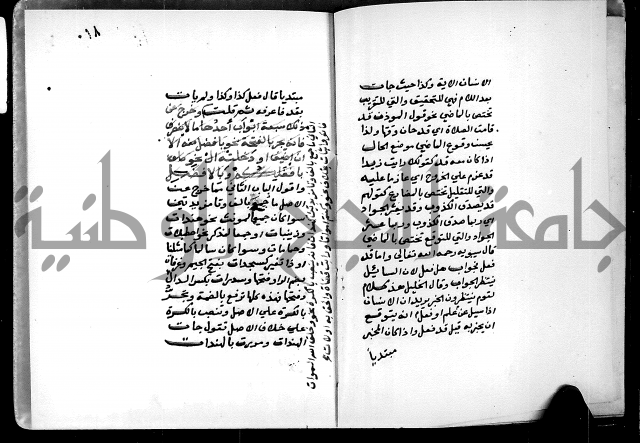 شرح شذور الذهب في معرفة كلام العرب 