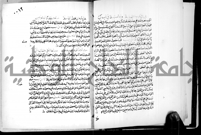 البحر الفائض في شرح ديوان ابن الفارض البوريني 