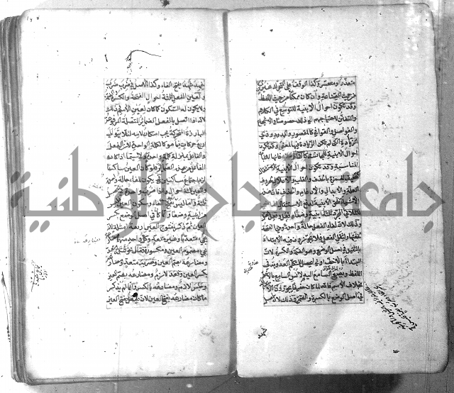 شرح الشافية 