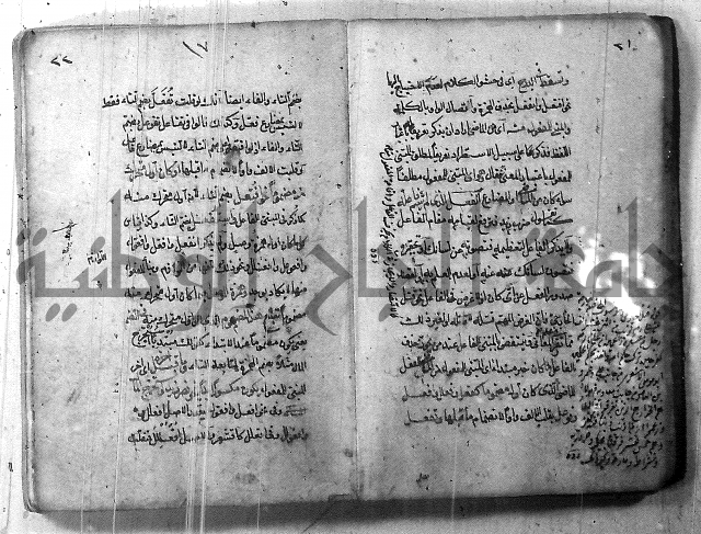 التفنن في الصرف