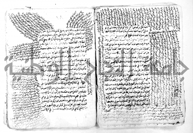 فتح القريب
