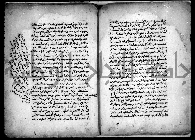 مجهول فتاوى