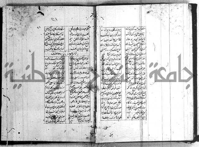 نظم تركي