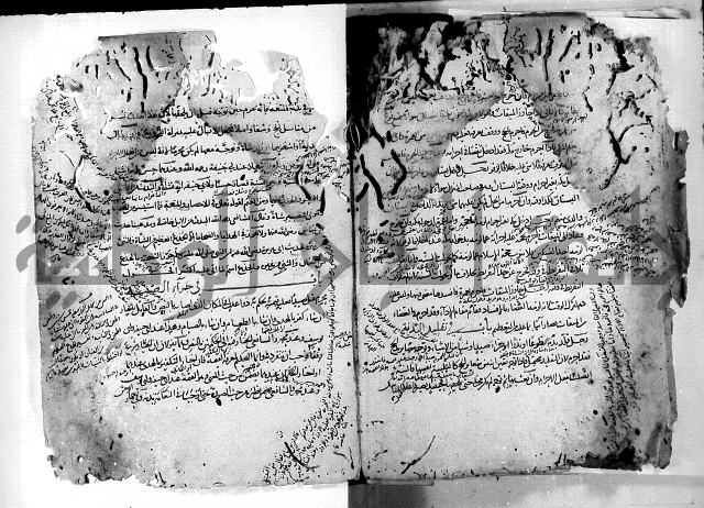 واقعات حسام الدين نعمة