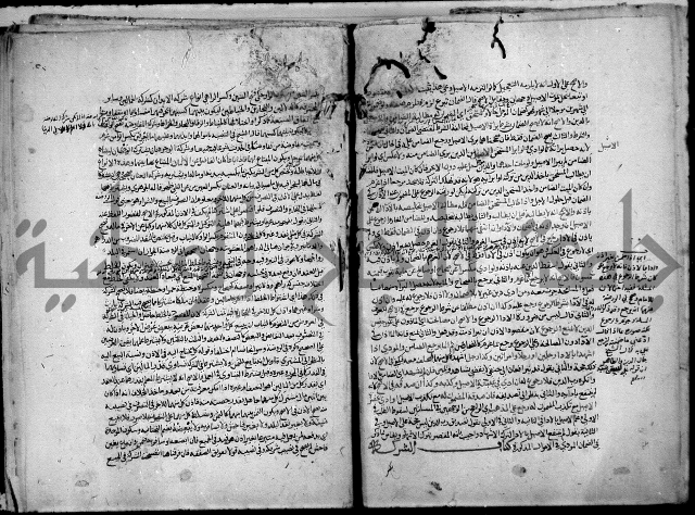 نهاية المحتاج الى شرح النهاج 2