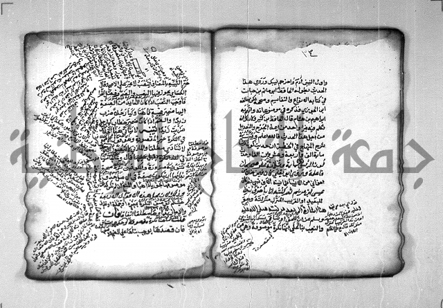 شرح الهمزية  