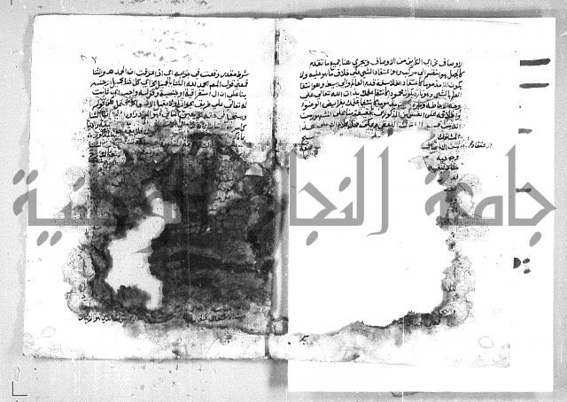 الهدهدي 