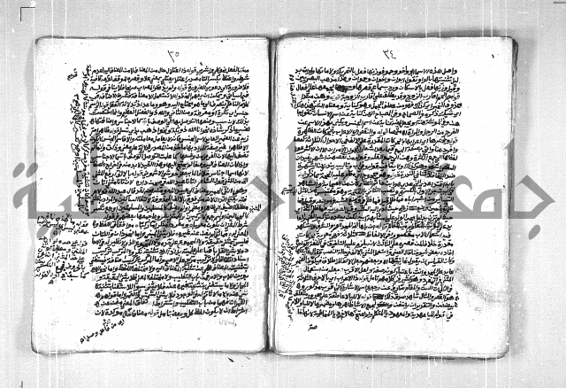 فتح الجليل  على شرح ابن عقيل 
