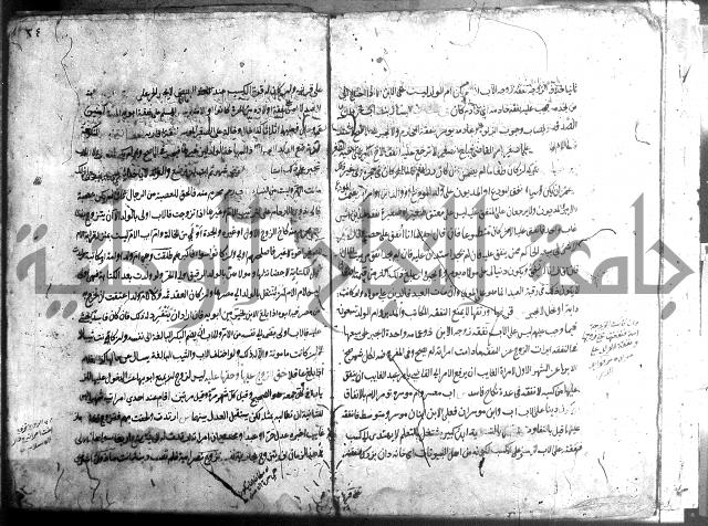 منية الفتى 