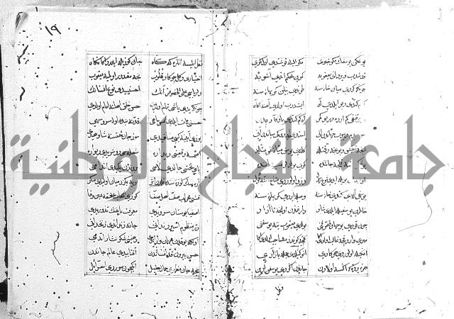 كتاب يوسف زليخا المؤلف 