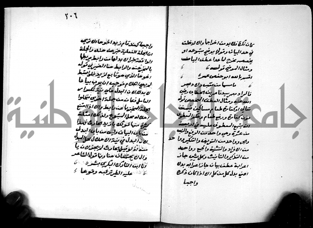 شرح شذور الذهب في معرفة كلام العرب 