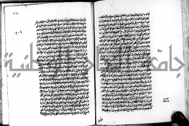 الجواهر الدورية في تنقيح الفتاوى الحامدية ج2 