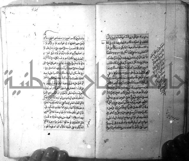 شرح الشافية 