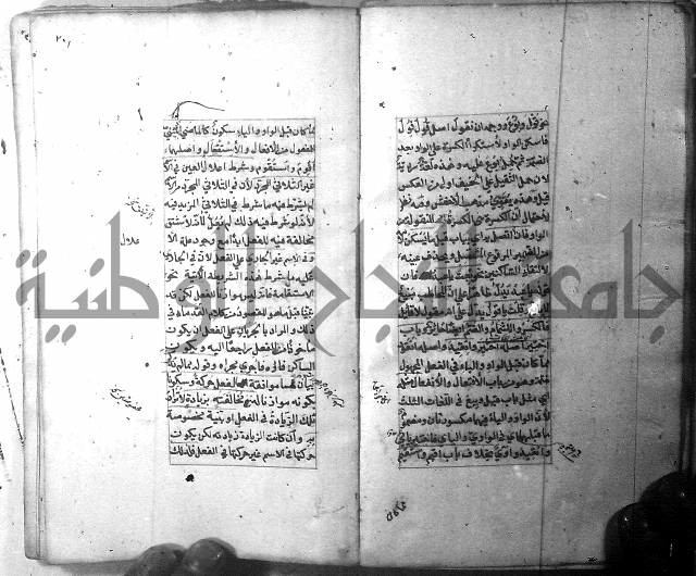 شرح الشافية 