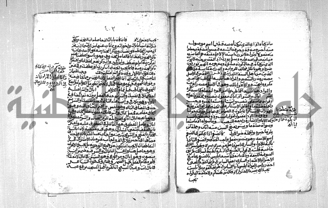 فتح الجليل  على شرح ابن عقيل 