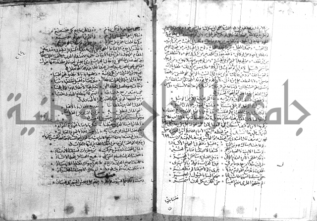 شرح لامية العجم 