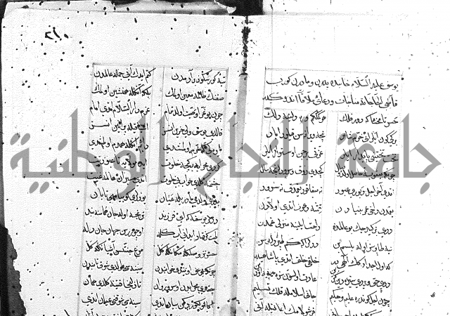 كتاب يوسف زليخا المؤلف 
