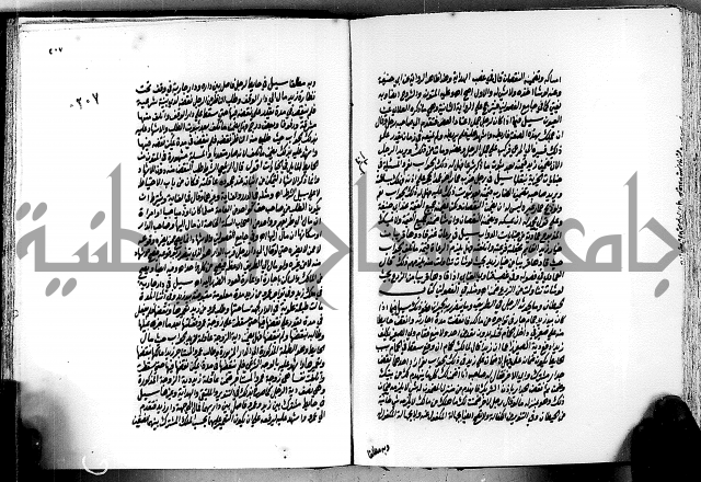 الجواهر الدورية في تنقيح الفتاوى الحامدية ج2 