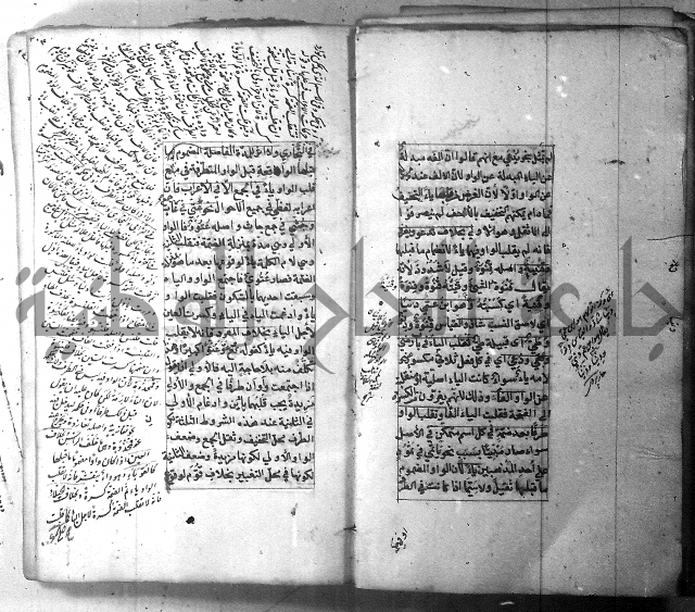 شرح الشافية 