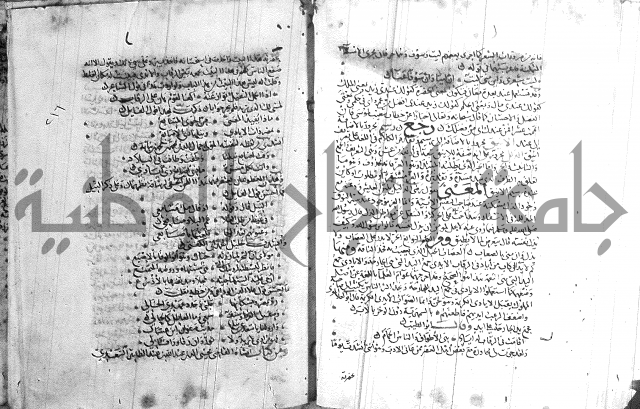 شرح لامية العجم 