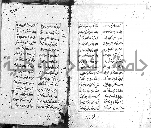 كتاب يوسف زليخا المؤلف 